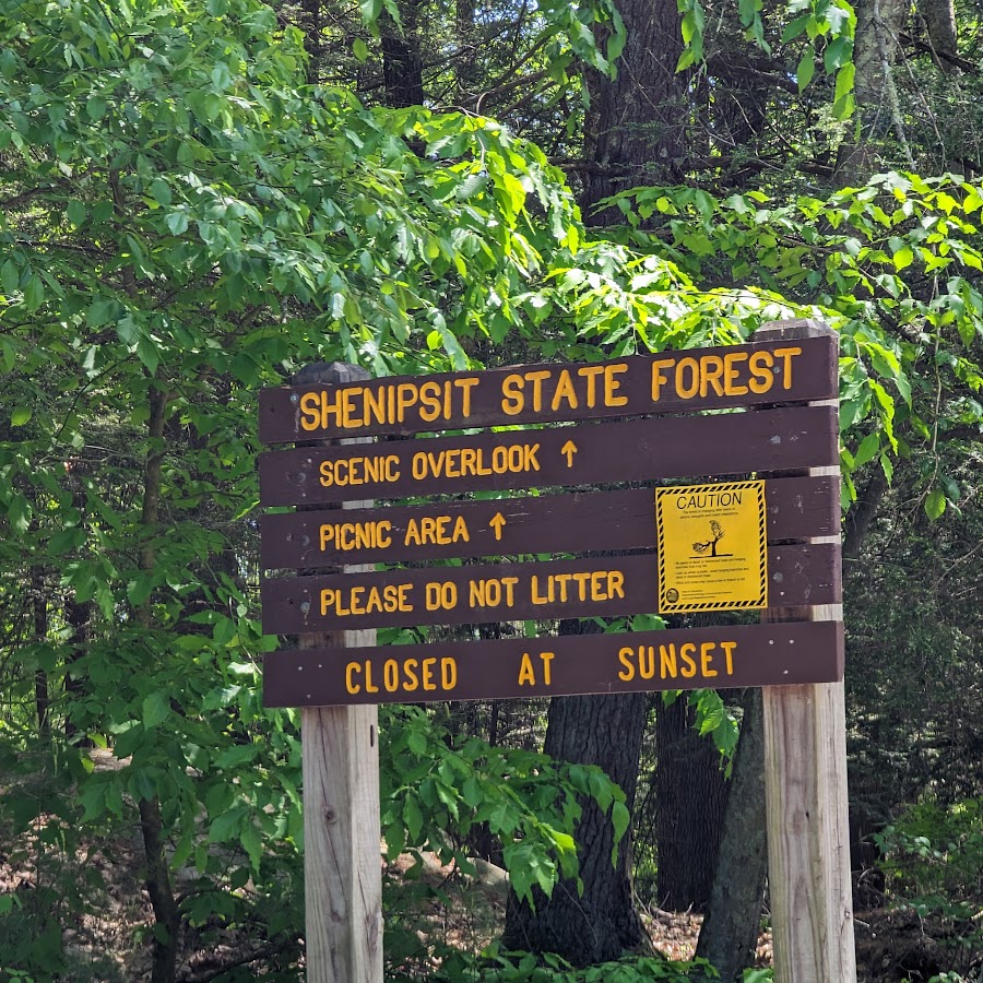 Shenipsit State Forest