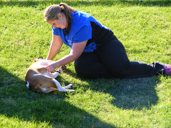 Barkes Corner Veterinary Hospital Tauranga