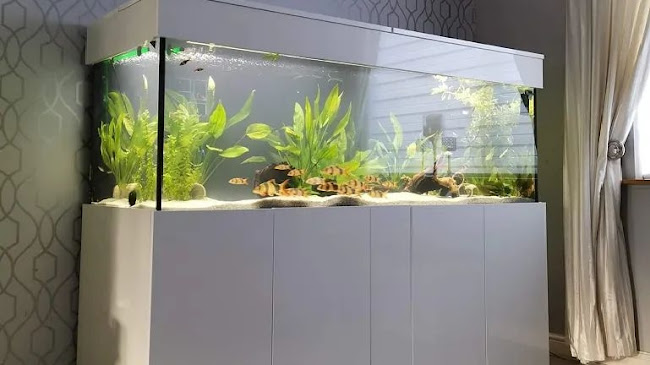 Reviews of AQUAMANIAUK in Leicester - Shop