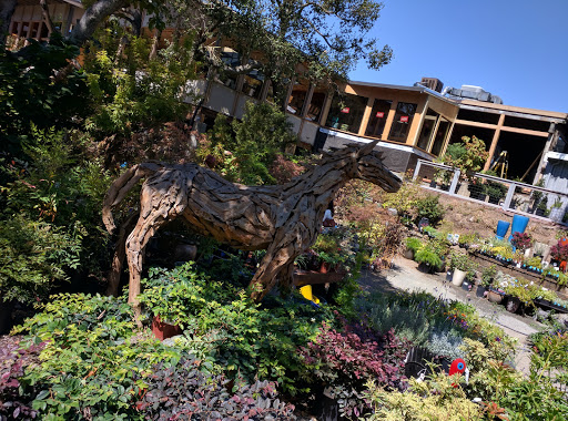 Shopping Mall «Carlmont Village Shopping Center», reviews and photos, 1049 Alameda de las Pulgas, Belmont, CA 94002, USA