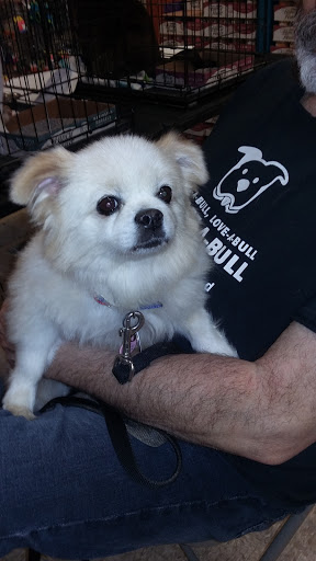 Pet Supply Store «PetSmart», reviews and photos, 2113 E Geneva St, Delavan, WI 53115, USA