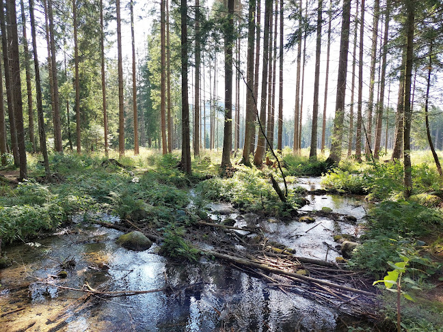 Brestovská vyvieračka - Múzeum