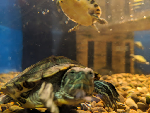 Pet Store «Animal House», reviews and photos, 7869 Hamilton Ave, Cincinnati, OH 45231, USA