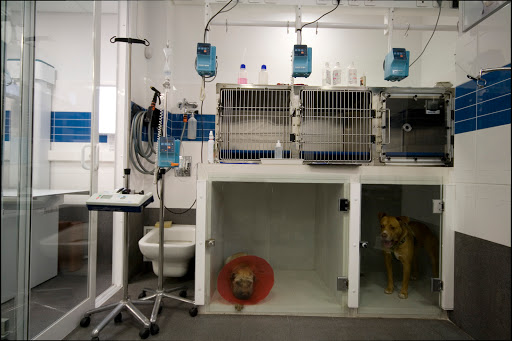 Clínica Veterinaria Peníscola Eurovet en Peniscola