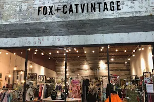 FOX+CATVINTAGE image