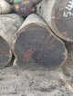 Fazil Timbers