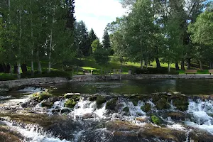 Giant Springs State Park image