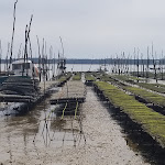 Photo n° 21 de l'avis de Alex.y fait le 31/07/2018 à 21:33 pour Cap Sittelle - Chambres d'hôtes au Cap-Ferret à Lège-Cap-Ferret