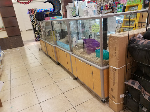 Pet Supply Store «Pet City», reviews and photos, 1710 Briargate Blvd, Colorado Springs, CO 80920, USA