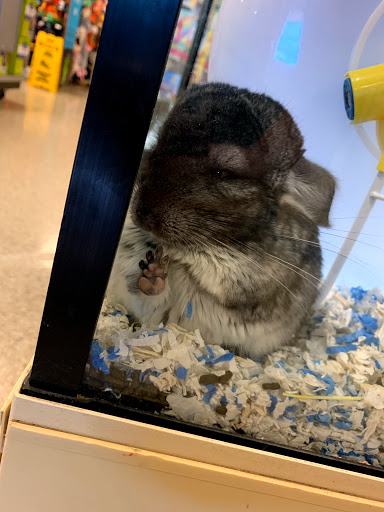 Pet Supply Store «PetSmart», reviews and photos, 4180 US-1, Monmouth Junction, NJ 08852, USA