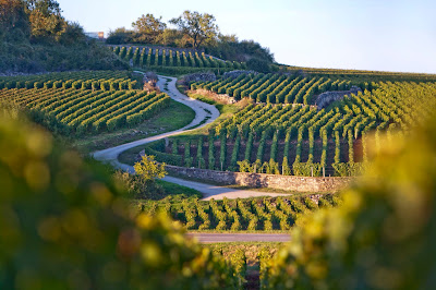 Domaine Amiot Guy et Fils à Chassagne-Montrachet