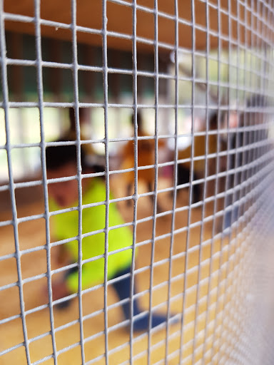 Farm «Wright Family Farm», reviews and photos, 329 Kings Hwy, Warwick, NY 10990, USA