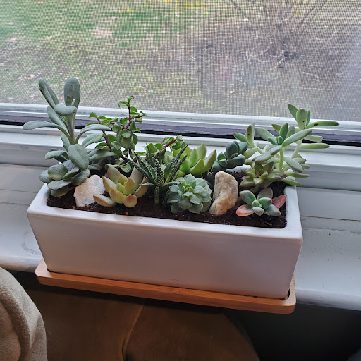 Home Improvement Store «The Home Depot», reviews and photos, 1213 VFW Pkwy, West Roxbury, MA 02132, USA