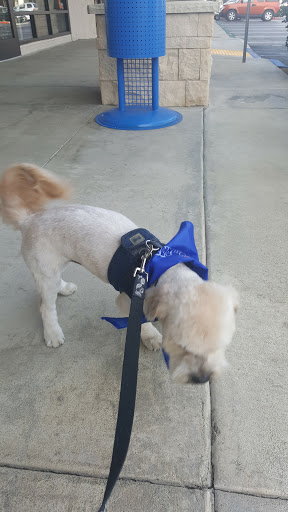 Pet Supply Store «PetSmart», reviews and photos, 44425 Town Center Way a, Palm Desert, CA 92260, USA