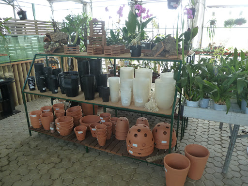 Lojas para comprar vasos de flores Lisbon