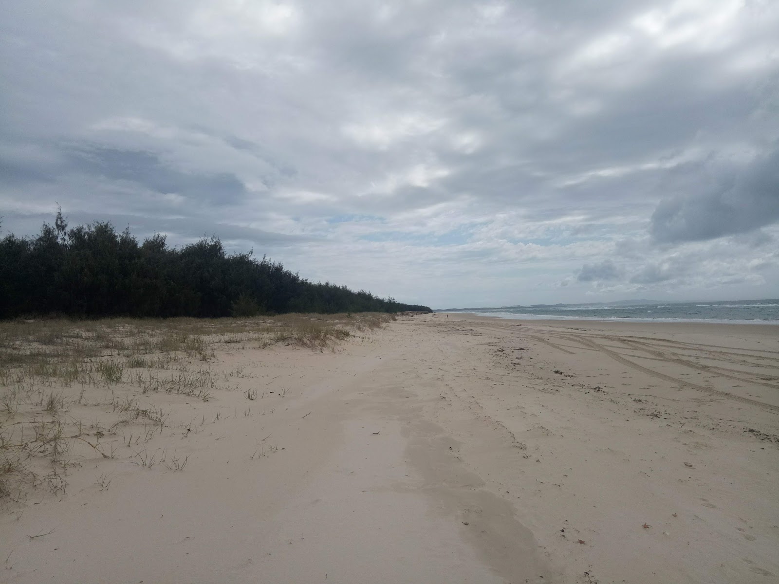 Minjerribah Camping Beach'in fotoğrafı çok temiz temizlik seviyesi ile