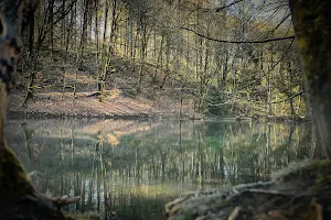 Kleiner Waldsee image