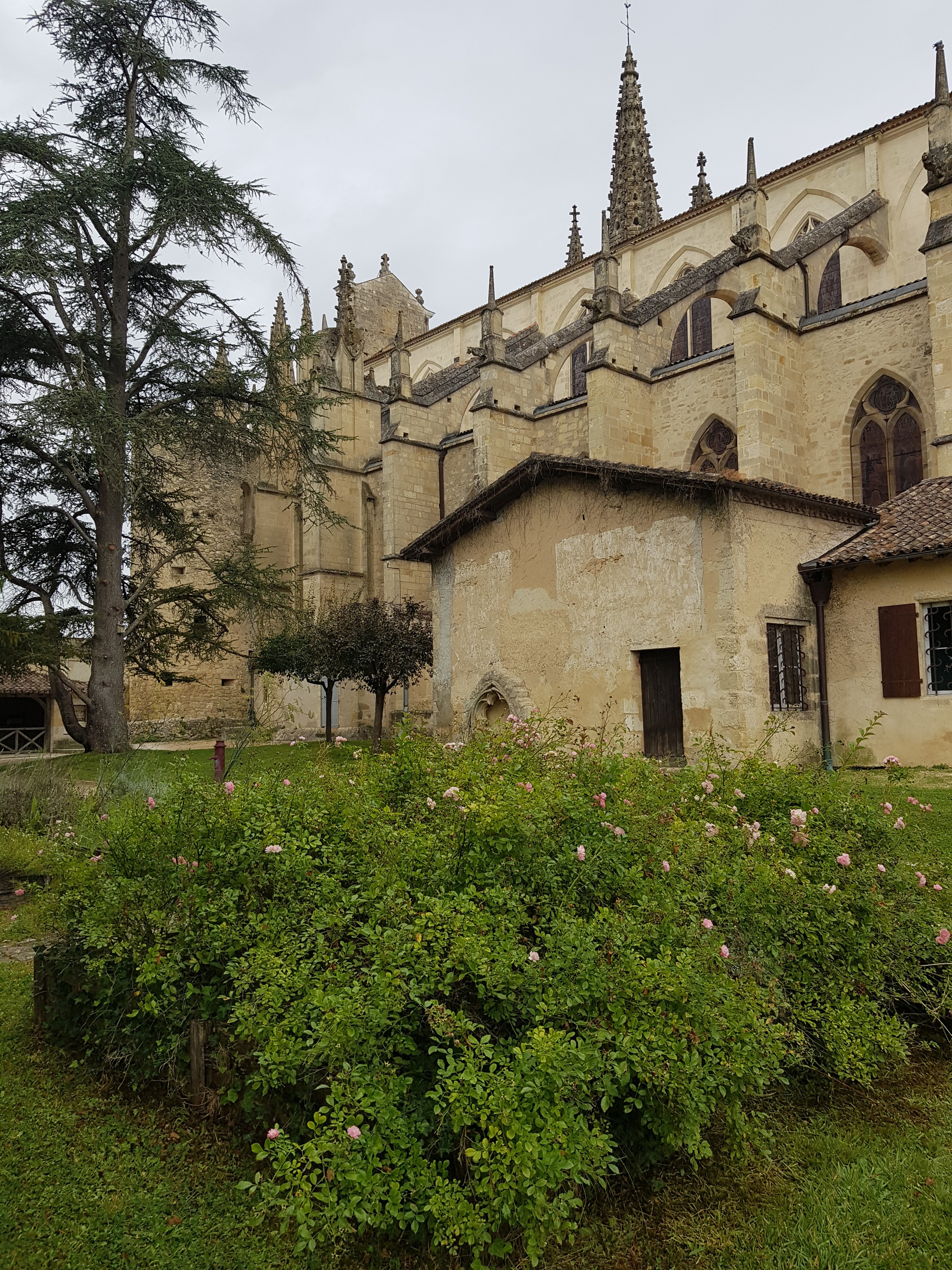 Photo n° 4 de l'avis de Marielle.e fait le 23/08/2020 à 20:42