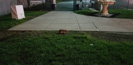 Monument «Tear Drop Memorial», reviews and photos, 51 Port Terminal Blvd, Bayonne, NJ 07002, USA