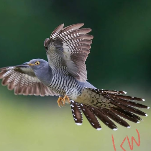 Nail Salon «POSH Skin Care & Nail Bar», reviews and photos, 901 E University Ave c, Las Cruces, NM 88001, USA