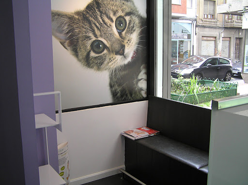 Clínica Veterinaria Centro León en León