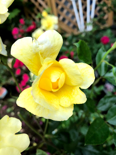 Garden Center «Stonewall Garden Center», reviews and photos, 4675 PA-447, Canadensis, PA 18325, USA