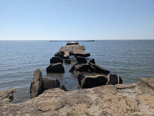 Black Marsh Trailhead