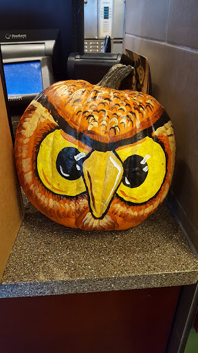 Bagel Shop «Einstein Bros. Bagels», reviews and photos, 750 N Telegraph Rd, Dearborn, MI 48128, USA