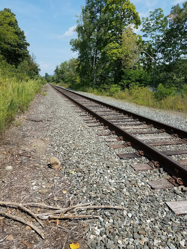 Tourist Attraction «Dinosaur Footprints», reviews and photos, US-5, Holyoke, MA 01040, USA