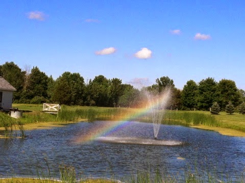 Golf Club «Twin Brooks Golf Course», reviews and photos, 1005 McKeighan Rd, Chesaning, MI 48616, USA