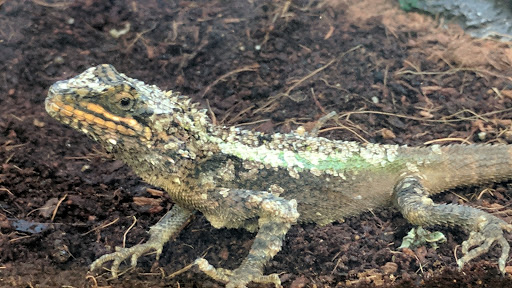 Pet Supply Store «Petco Animal Supplies», reviews and photos, 11331 W Broad St #151, Glen Allen, VA 23060, USA