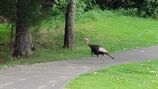 Golf Course «Pohick Bay Golf Course», reviews and photos, 10301 Gunston Road, Lorton, VA 22079, USA