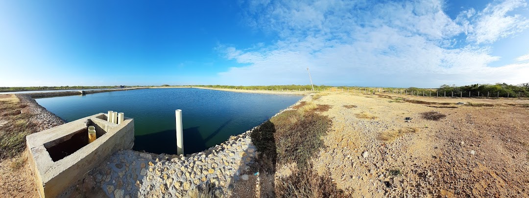 Laguna de Oxidación de Manaure