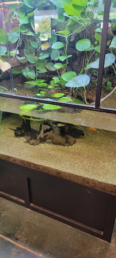 Pet Store «Olathe Pet Shop», reviews and photos, 16651 151st St, Olathe, KS 66062, USA