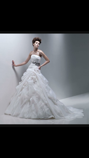 Bridal Shop «Bearer of the Bling Bridal», reviews and photos, 6125 54th Ave N Unit A, Kenneth City, FL 33709, USA