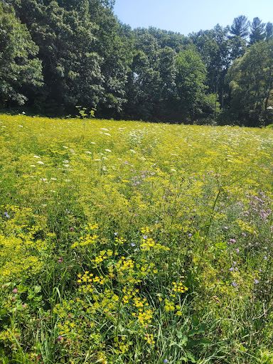 Park «Carney Park», reviews and photos, 386 W Main St, Northborough, MA 01532, USA