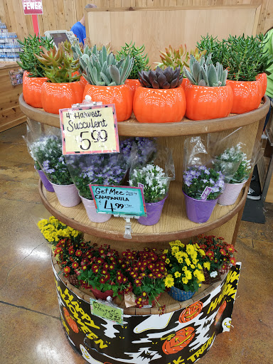 Flower market Concord