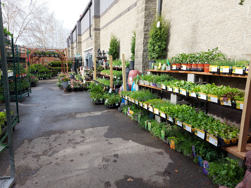 Garden Center Garden Centre At Rona In Calgary Ab Liveway