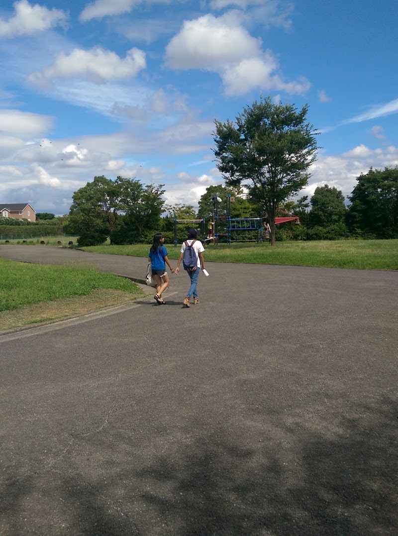 河西公園 駐車場