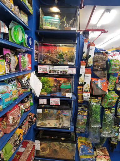 Pet Store «Petland Discounts - Willoughby», reviews and photos, 72 Willoughby St, Brooklyn, NY 11201, USA