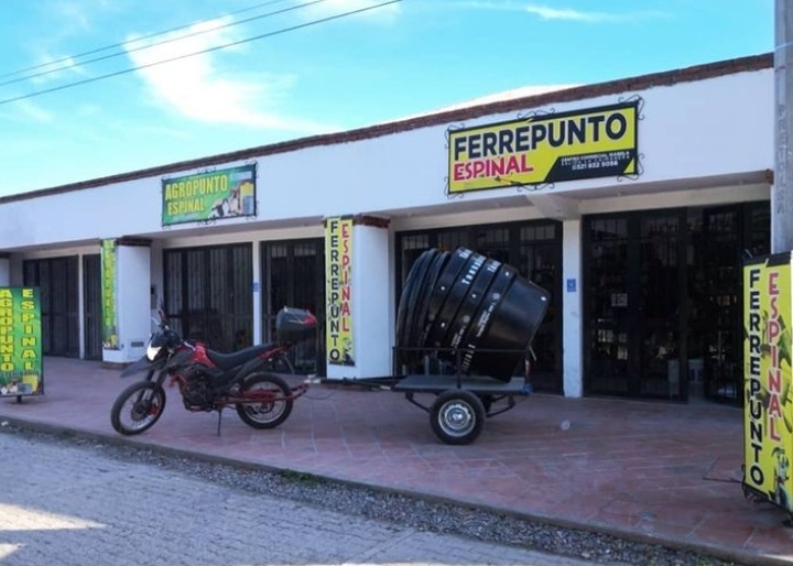 FERRÉ PUNTO ESPINAL