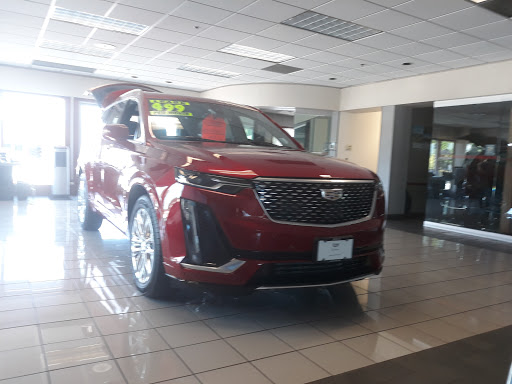 Pajouh Courtesy Automotive Center image