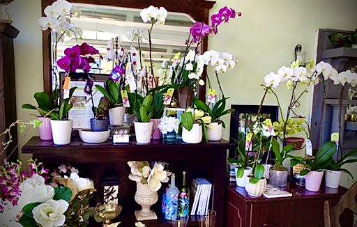 Florist «Keepsakes Florist», reviews and photos, 2024 Wappoo Dr, Charleston, SC 29412, USA