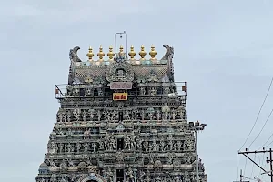 Tirupathiripuliyur Arulmigu periya nayagi udanurai Paadaleeswarar Thirukovil image