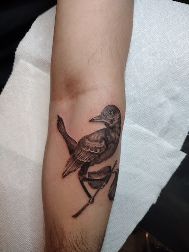 Tattoo Shop «Incredible Ink Tattoo», reviews and photos, 37 New Orleans Rd, Hilton Head Island, SC 29928, USA