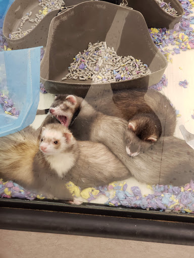 Pet Supply Store «Petco Animal Supplies», reviews and photos, 5239 Harvey St, Norton Shores, MI 49444, USA