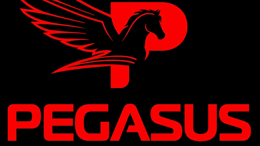 Pegasus Auto Detail en Newcastle
