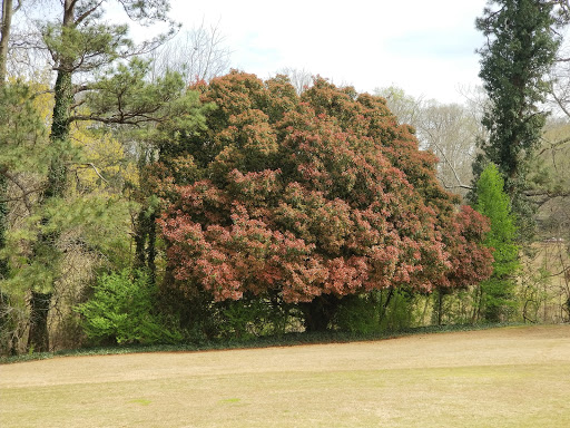 Public Golf Course «Candler Park Golf Course», reviews and photos, 585 Candler Park Dr NE, Atlanta, GA 30307, USA