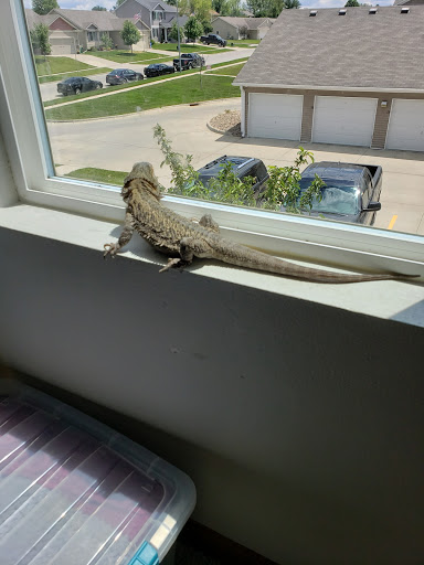 Pet Store «Aqualand Pets Plus», reviews and photos, 3600 6th Ave, Des Moines, IA 50313, USA