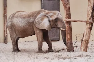 ZOO Bojnice Areál slonov image